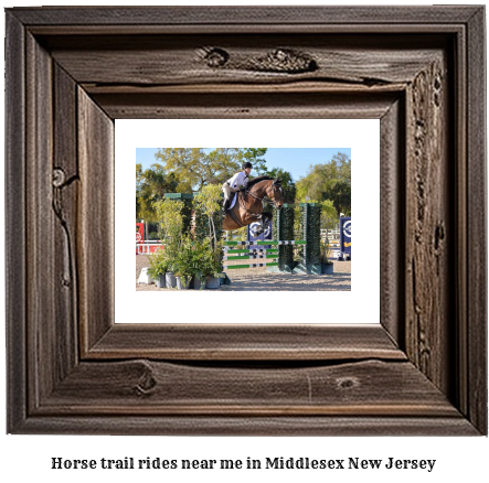 horse trail rides near me in Middlesex, New Jersey